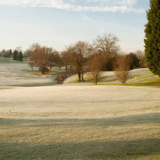 what are winter greens in golf