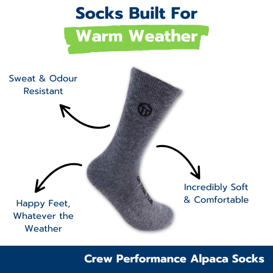 Crew Performance Alpaca Socks